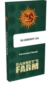 Blueberry OG - картинка 1