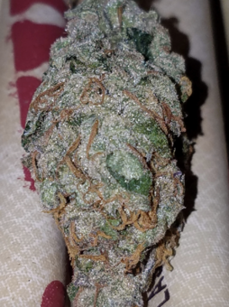 Cookies Auto (Girl Scout Cookies) - картинка 10