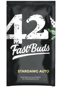 Stardawg Auto